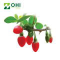 Goji Berry Extract Polysacharides Powdert